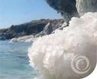 sea-line-detalle-1
